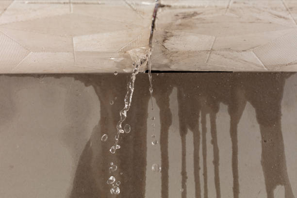 Professional Structural Drying technician working in Bernardsville, NJ